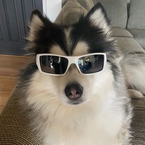 Meet your Posher, Nancy